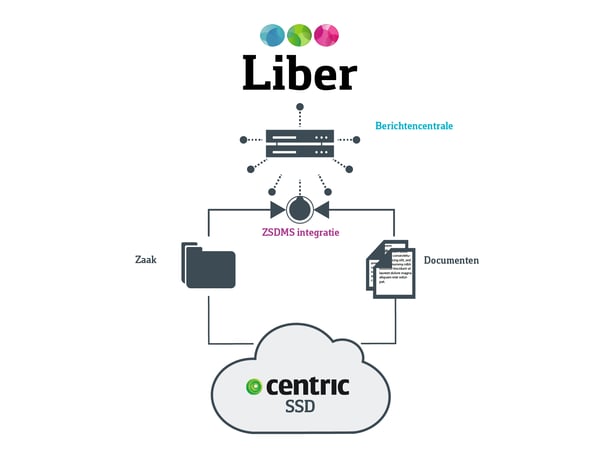 web-schema-Liber-Centric-SSD