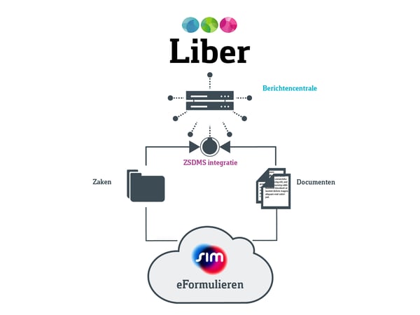 web-schema-Liber-eFormulieren van SIM